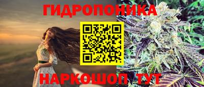 стаф Донецк