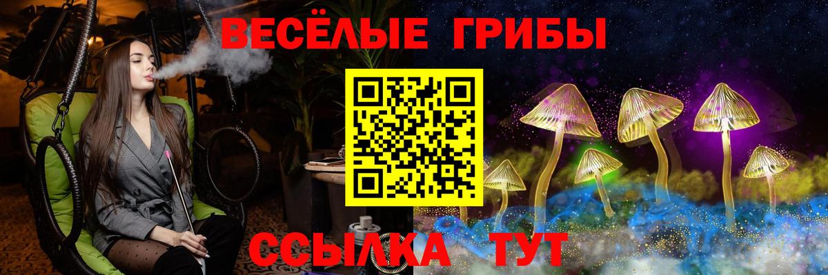 Псилоцибиновые грибы MAGIC MUSHROOMS  хочу   Дагестанские Огни  Вход с VPN 